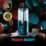 MR FOG SWPD07 - MR FOG SWITCH POD PODS Peach Berry(5pcs/pack)