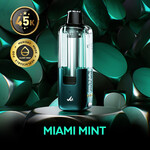 MR FOG SWPD13 - MR FOG SWITCH POD PODS Miami Mint(5pcs/pack)