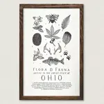 The Wild Wander Ohio Field Guide