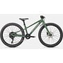 Specialized Riprock Gloss Sage / White 24