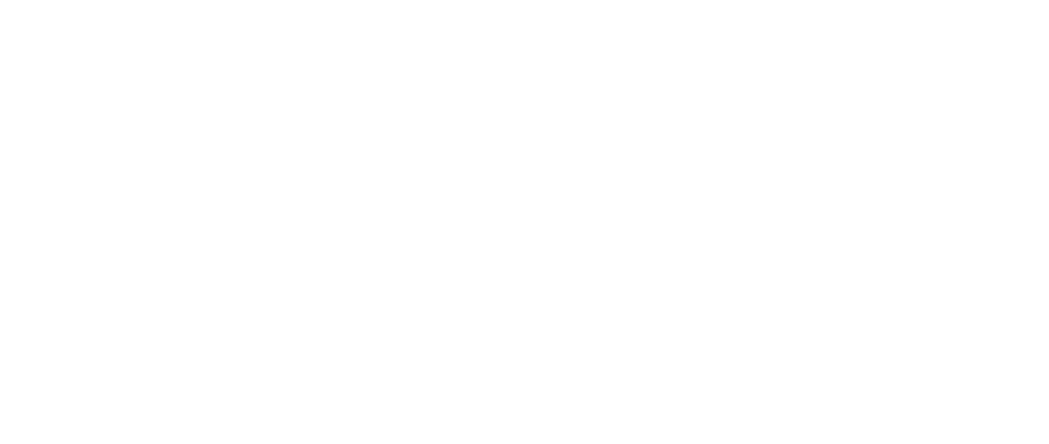 THE BICYCLE STATION