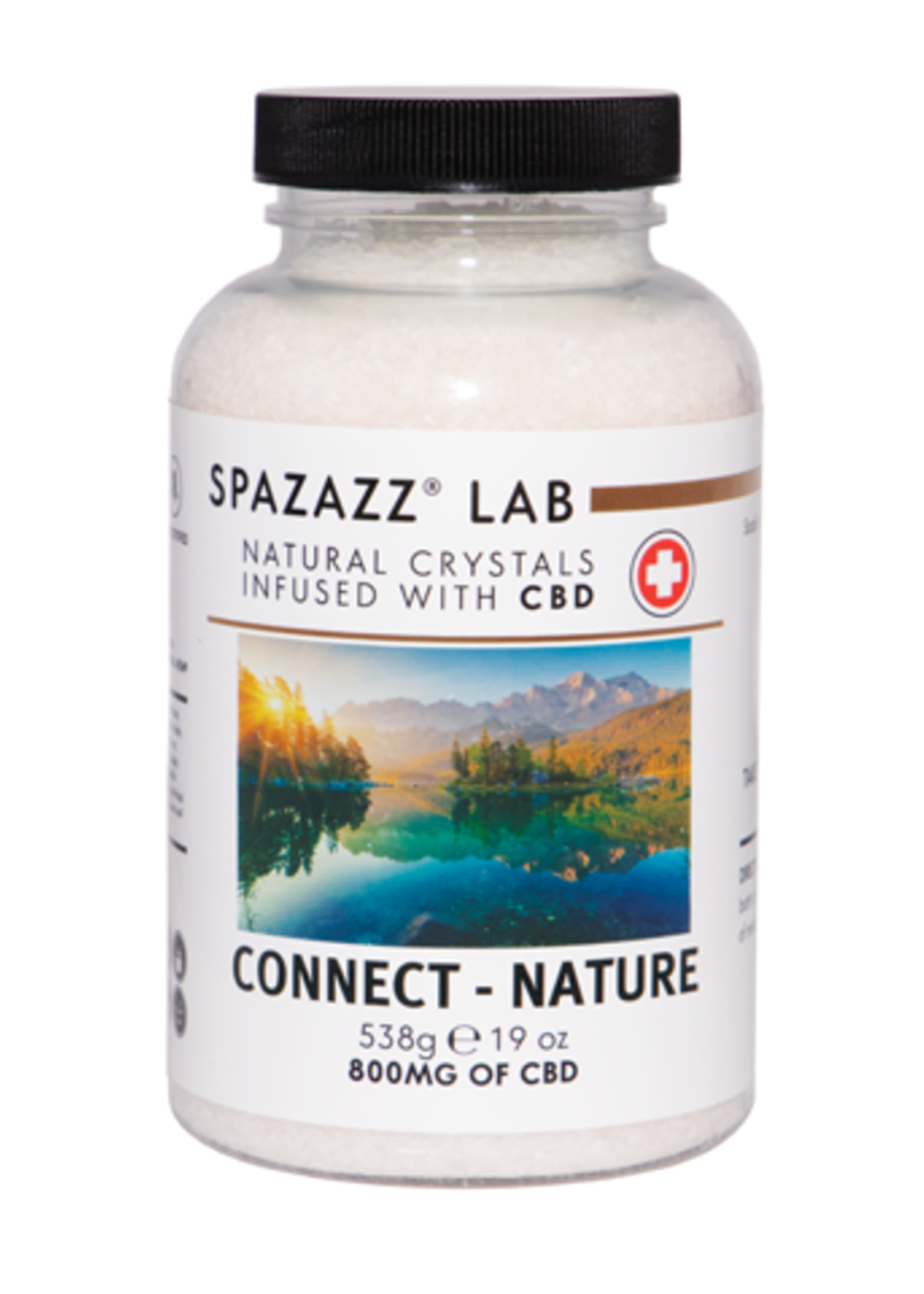Spazazz Spazazz CBD Connect - Nature 19 Oz