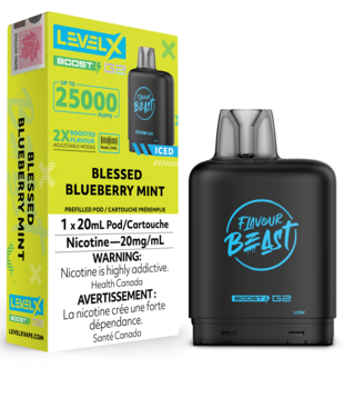 Blessed Blueberry Mint Ice Flavour Beast Level X 25000 Disposable Vape Pod