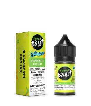 Slammin STS Ice 20mg Flavour Beast Nic Salt 60ml E-liquid