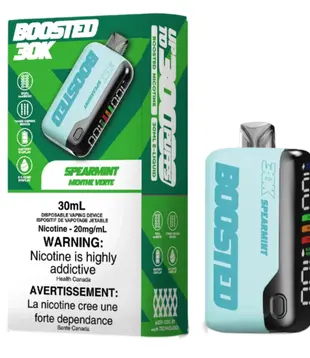 Spearmint 20mg Boosted 30K Rechargeable Disposable