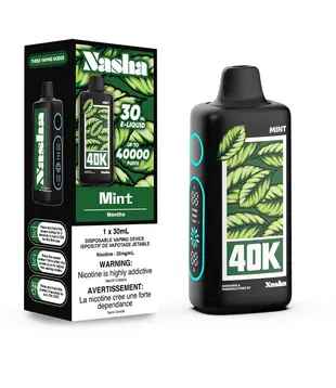 Mint Nasha 40k Recharegable Disposable