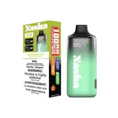 Melon Rush Ice Nasha 10k Rechargeable Disposable