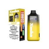 Mango Ice Nasha 10k Rechargeable Disposable