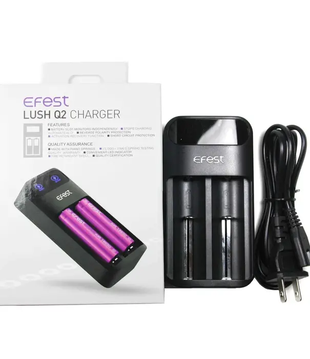 E Fest Lush Q2 2 Bay Battery Charger