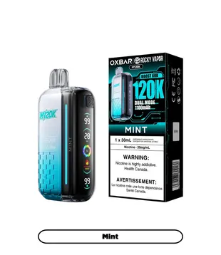 Mint Rocky Vapor OxBar M120K Rechargeable Disposable