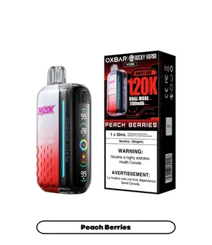 Peach Berries Rocky Vapor OxBar M120K Rechargeable Disposable