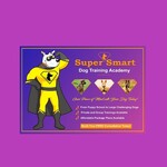 PETS WONDERLAND Private Dog Training Session W/ Super Smart Dog Training Academy