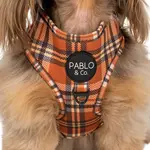 PABLO & CO. Pablo & Co. - Harness "Vintage Plaid" Medium
