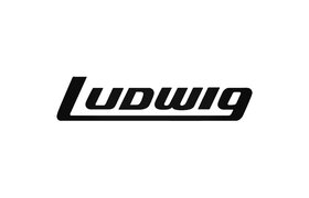 Ludwig