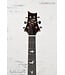 PRS SE Hollowbody Standard Piezo Dog Hair Smokeburst Electric Guitar with Hard Case