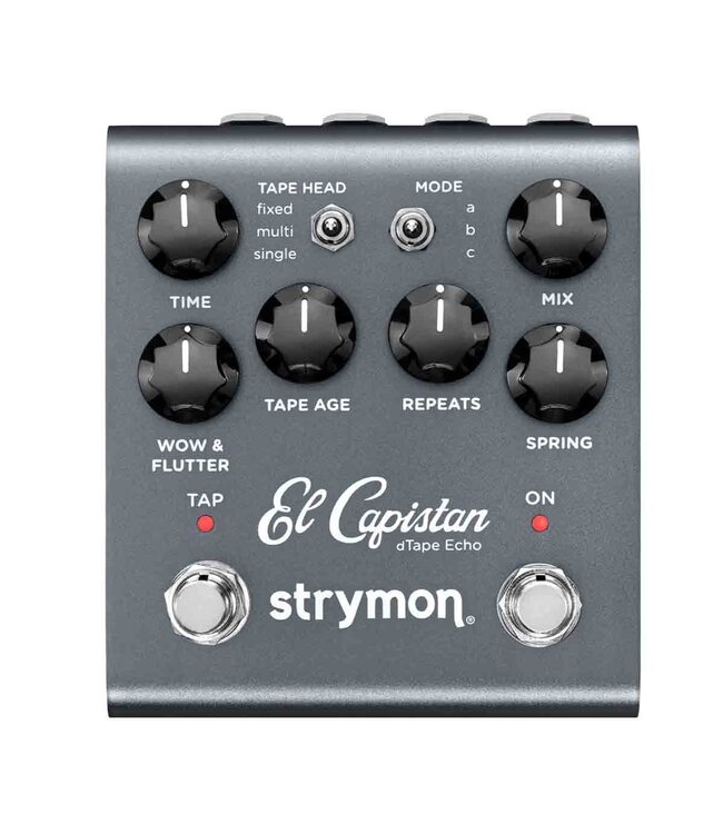 Strymon El Capistan Tape Echo Pedal | Roxy Music