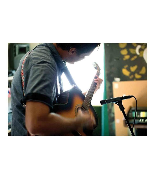 Shure PG81 Condenser Microphone