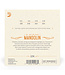 D'Addario EJ74 Phosphor Bronze Loop End Mandolin Strings - .011-.040 Medium