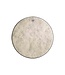 Remo Remo Ambassador Fiberskyn 3 12" Batter Drumhead