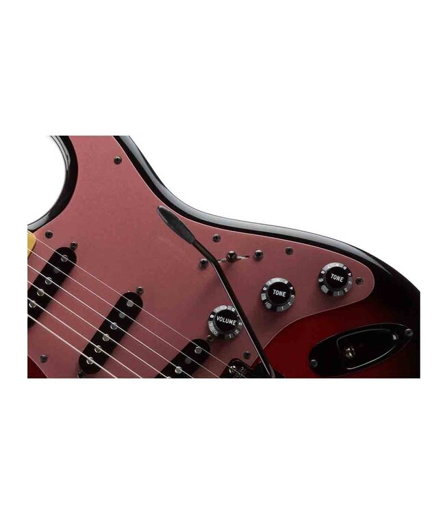 Fender Stratocaster Tremolo Arm Tips - Black