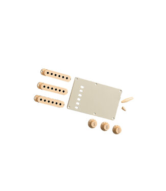 Fender Fender Stratocaster Accessory Kit - Aged White