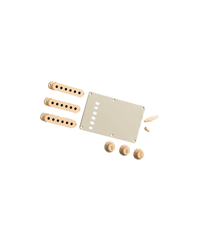 Fender Stratocaster Accessory Kit - Aged White