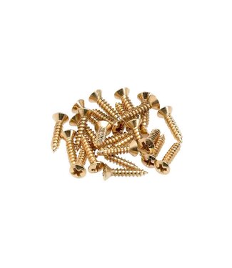 Fender Fender Gold Pickguard Control Plate Mounting Screws (24 Pack)