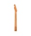 Fender Roasted Maple Telecaster Neck (21 Fret)