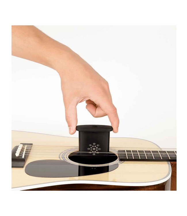 D'Addario GHP Acoustic Guitar Humidifier Pro