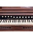 1893 Chicago Cottage Organ Company Vintage Pump Organ