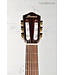 FRH10NBSF Thinline Nylon Acoustic-electric Guitar - Brown Sunburst