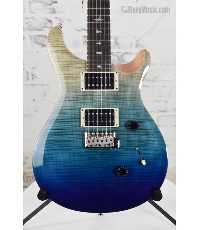 SE Custom 24 Electric Guitar - Blue Fade