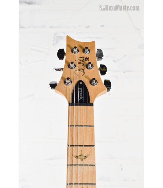 SE Swamp Ash Special Electric Guitar - Iris Blue