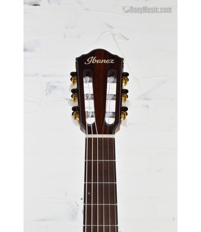 FRH10NNTF Thinline Nylon Acoustic-electric Guitar - Natural