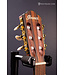 FRH10NBSF Thinline Nylon Acoustic-electric Guitar - Brown Sunburst