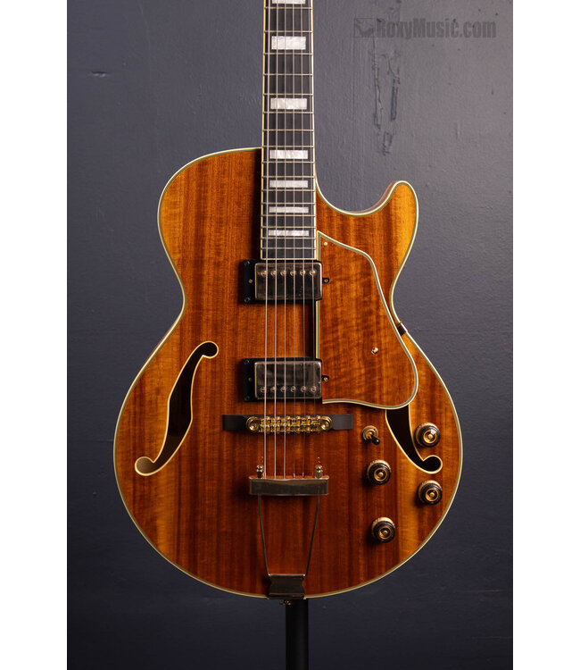 Artcore Expressionist AG95K Hollowbody Electric Guitar - Natural