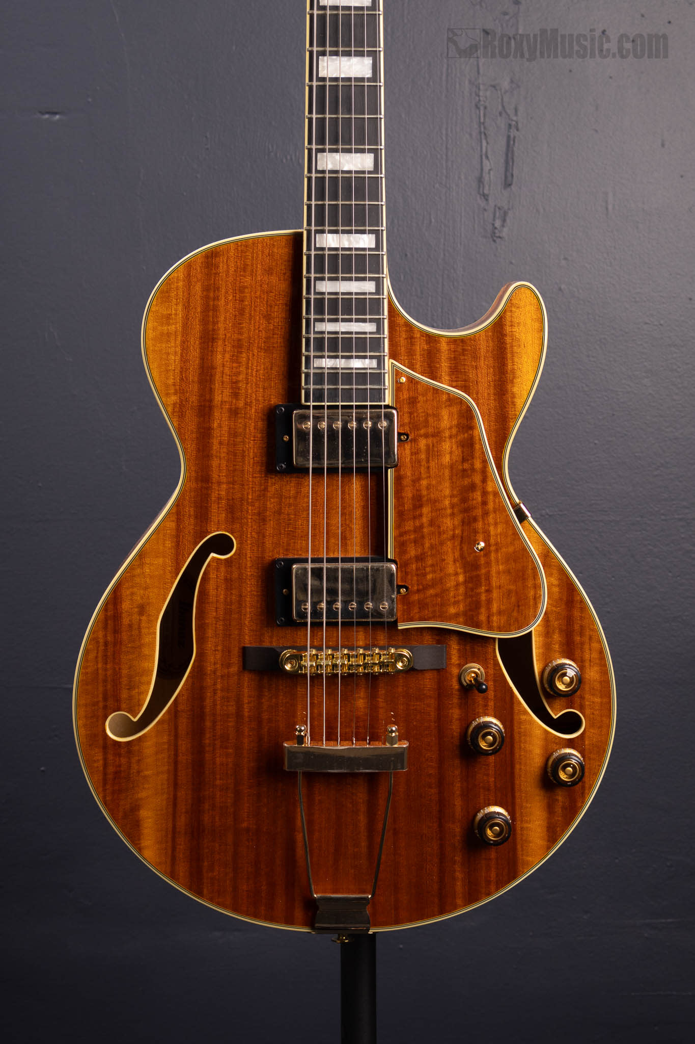 ibanez-artcore-expressionist-