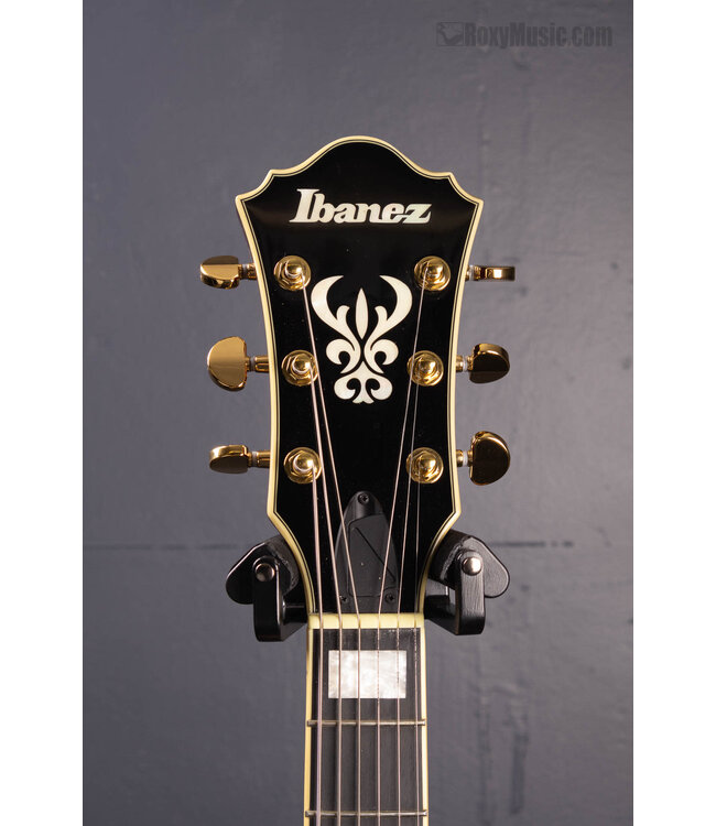 Artcore Expressionist AG95K Hollowbody Electric Guitar - Natural