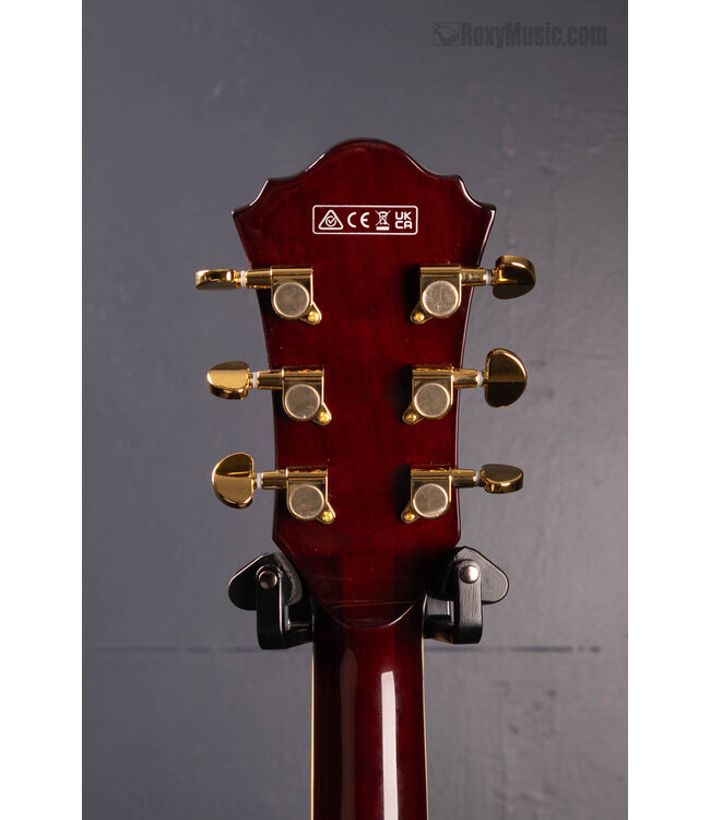 Artcore Expressionist AG95K Hollowbody Electric Guitar - Natural