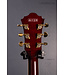 Artcore Expressionist AG95K Hollowbody Electric Guitar - Natural