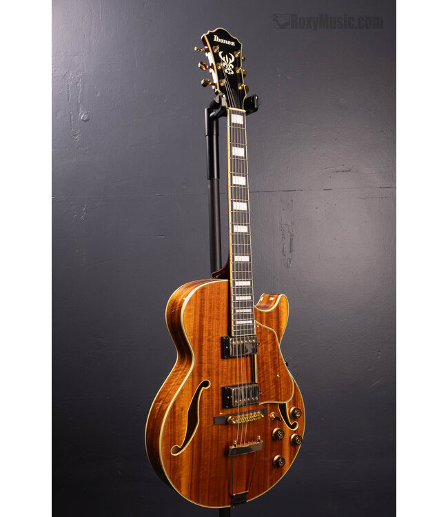 Artcore Expressionist AG95K Hollowbody Electric Guitar - Natural