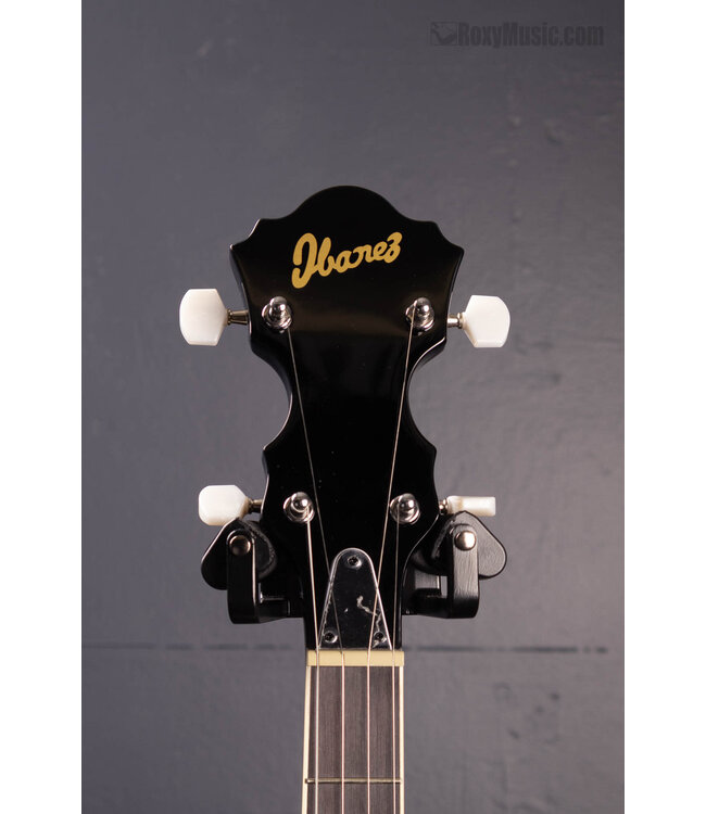 B50 5-String Resonator Banjo