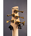 Gio GSR205PC 5-string Bass Guitar - Transparent Pale Black Burst