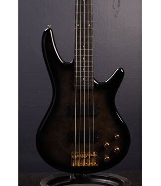 Ibanez Gio GSR205PC 5-string Bass Guitar - Transparent Pale Black Burst