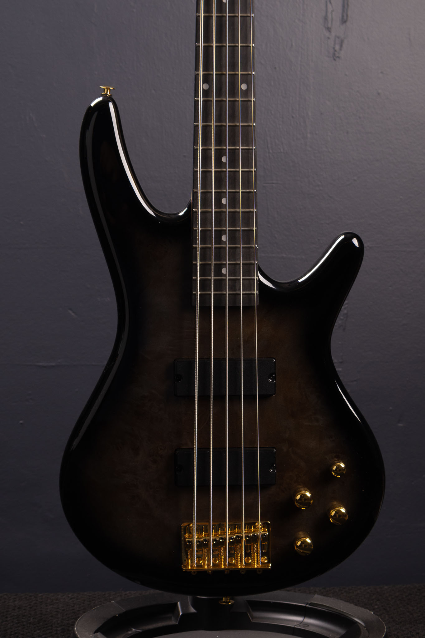 Ibanez Gio GSR205PC 5-string Bass Guitar - Transparent Pale