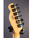 Standard Telecaster - Butterscotch Blonde