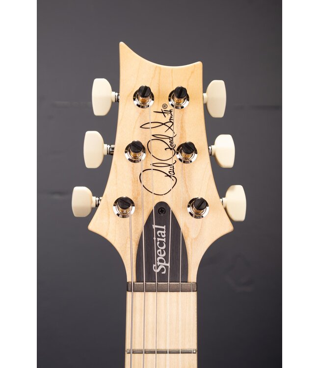 Swamp Ash Special Electric Guitar - Black Doghair Smokeburst with Maple Fingerboard