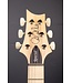Swamp Ash Special Electric Guitar - Black Doghair Smokeburst with Maple Fingerboard