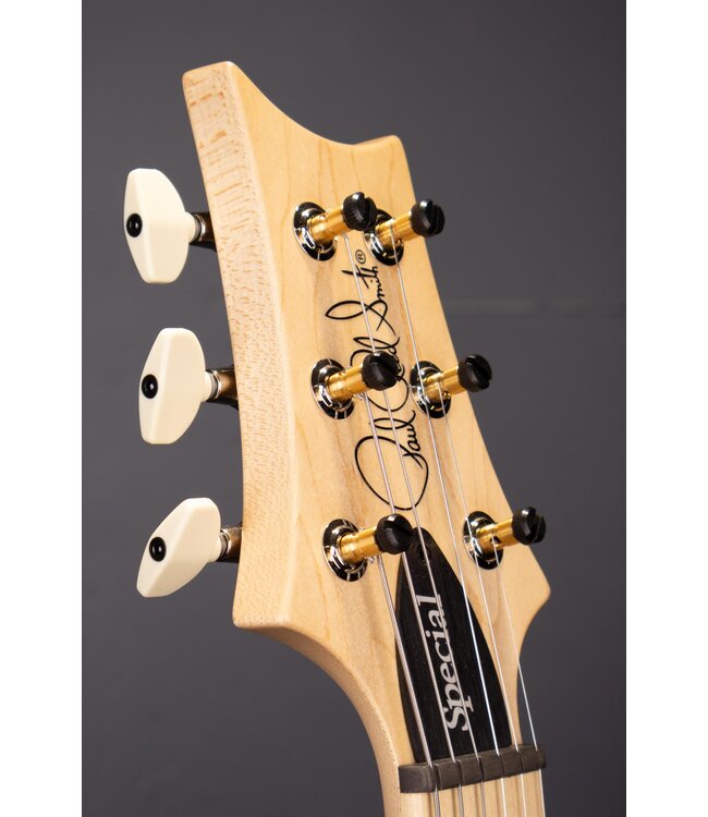 Swamp Ash Special Electric Guitar - Black Doghair Smokeburst with Maple Fingerboard