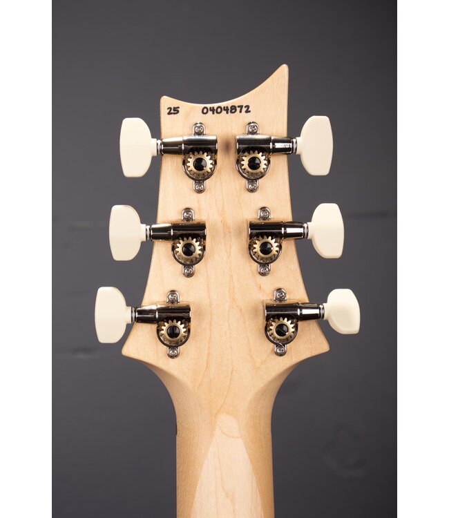 Swamp Ash Special Electric Guitar - Black Doghair Smokeburst with Maple Fingerboard